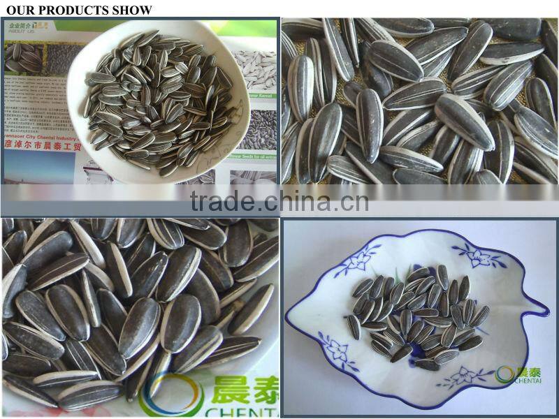 Promotion :Round Type Sunflower Seed Top Quality 1121,909 low price