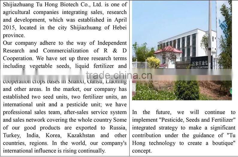 High Quality Red Sweet Pepper Seeds