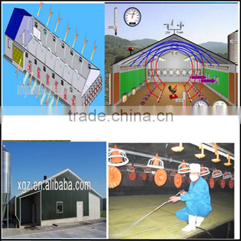 High quality Poultry Broiler and layer house