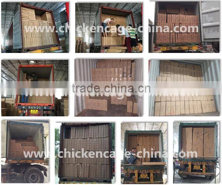 Pet Display Cage, Pet Show Cage