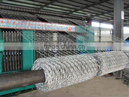 Heavy Type Hexagonal Wire Netting