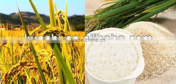 2013 newest best selling effective paddy pounder