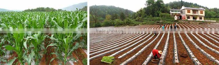 PE material plastic mulch film