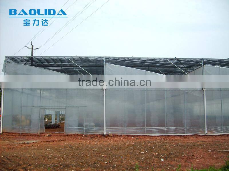 tunnel greenhouse for sale