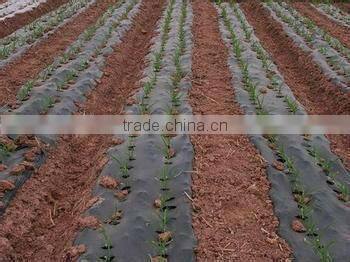 PE plastic covering film for greenhouse/mulch/construction