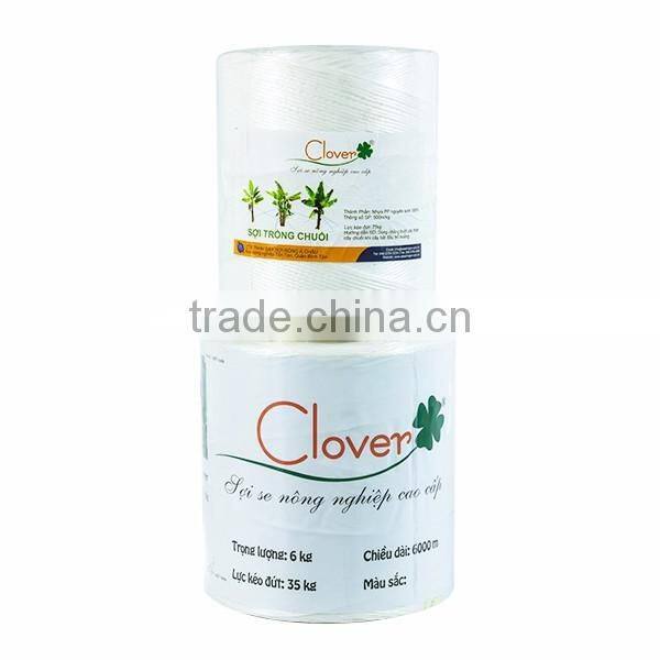 Colorful Polypropylene Twine