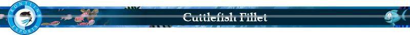 Certified Supplier of Frozen Cuttlefish Fillet