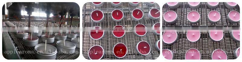 Customized 3.2oz Scented Soy Wax Melts in 6 Piece Block PVC Tart