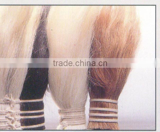 horse tail hairs