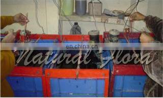 Copper Plated Natural Rose