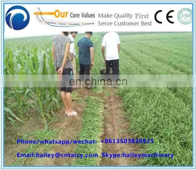 Taizy Chinese chives havesting machine leek/celery harvester machine for sale