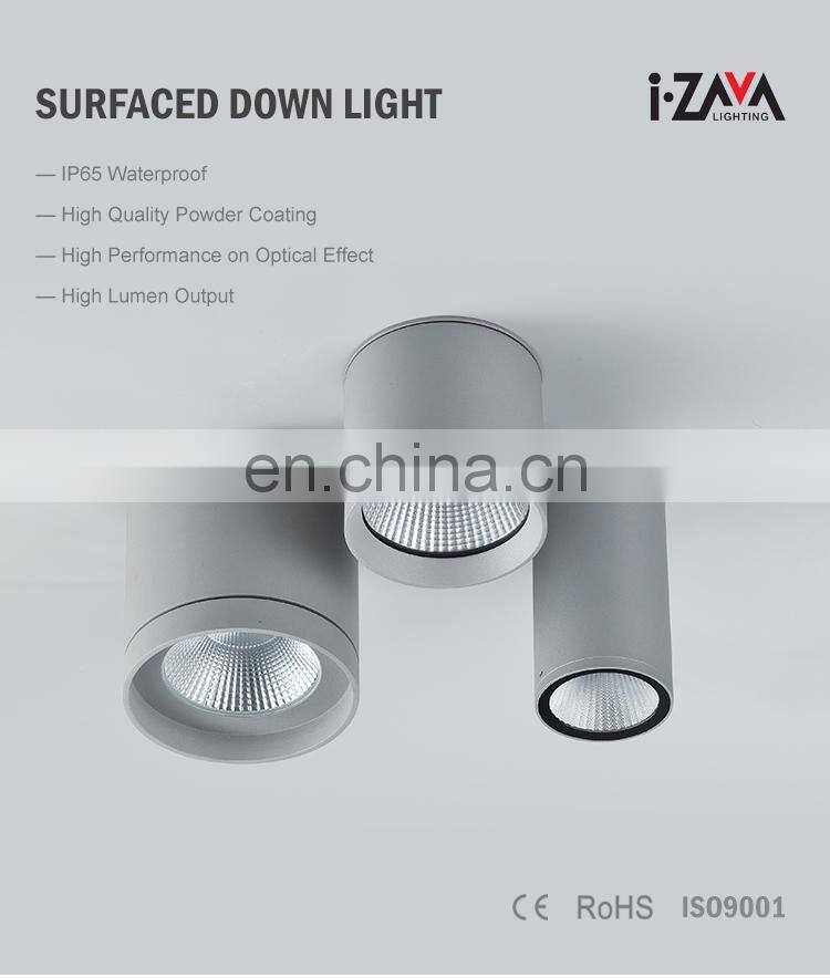 Round IP65 Waterproof Aluminum Ceiling Surface Mounted Ceiling 30W 36W 42W Led Down Light