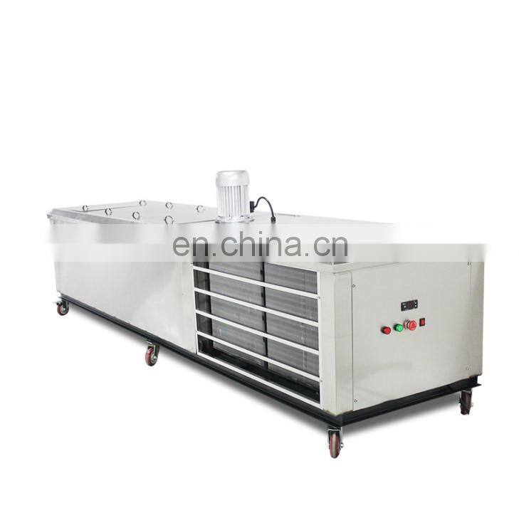 110v/220v Industrial Fruit popsicle machine small commercial popsicle making machine popsicle machine equipment