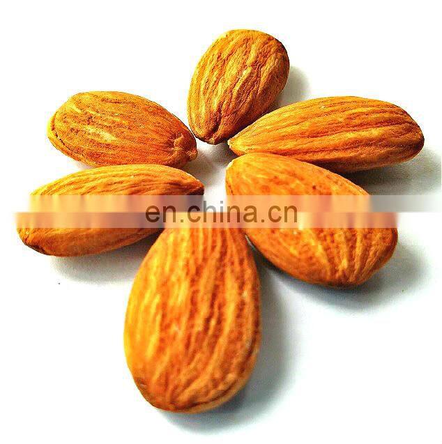 Sweet Californian Nonpareil Almond Nuts At Factory Price