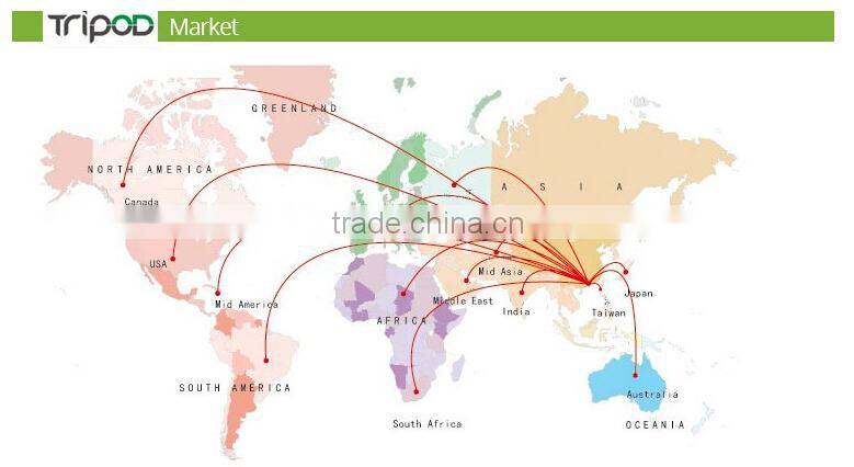 Customised high quality mail express bags