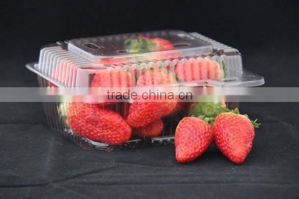 2015 best selling plastic clear strawberry packaging box