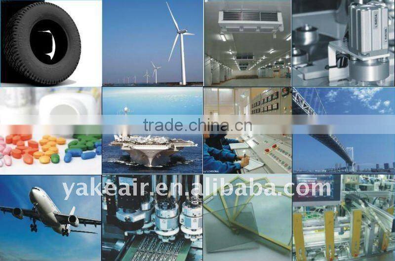 Economic RY-60M9 Portable Small Desiccant Dehumidifier