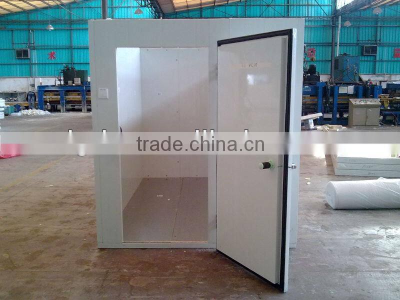 Freezer room for meat and fish -25C