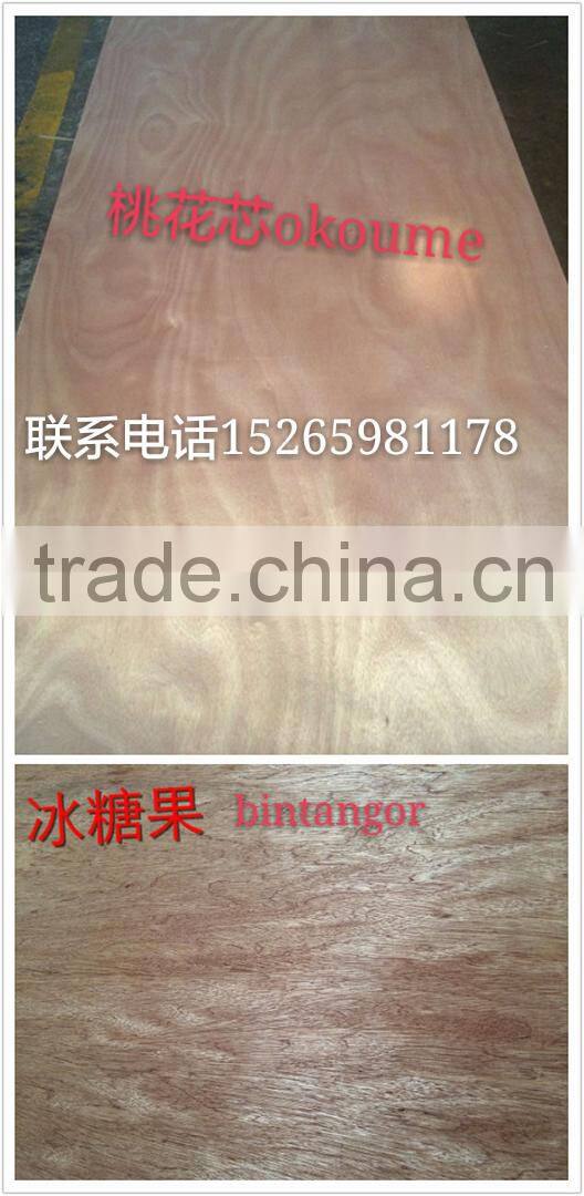 AAA grade natural fancy plywood wood door design