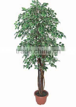 indoor fake ficus tree