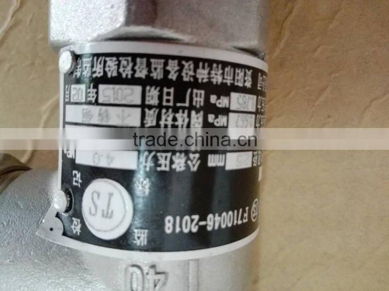DN25 2.27MPa Safety Valve