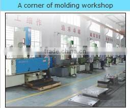 Yuyao Shunlong ABS Plastic Packaging For Clothing Mould