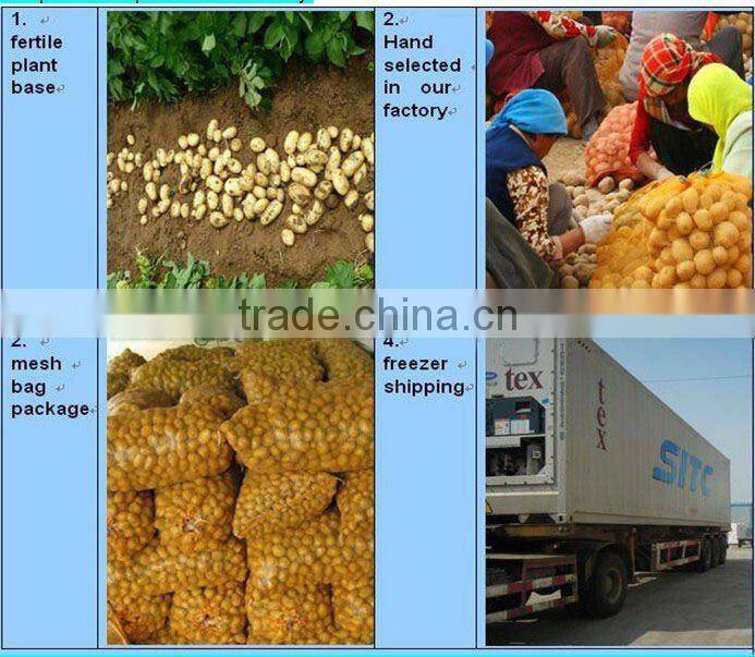 AD mixed vegetables for instant noodle food additive