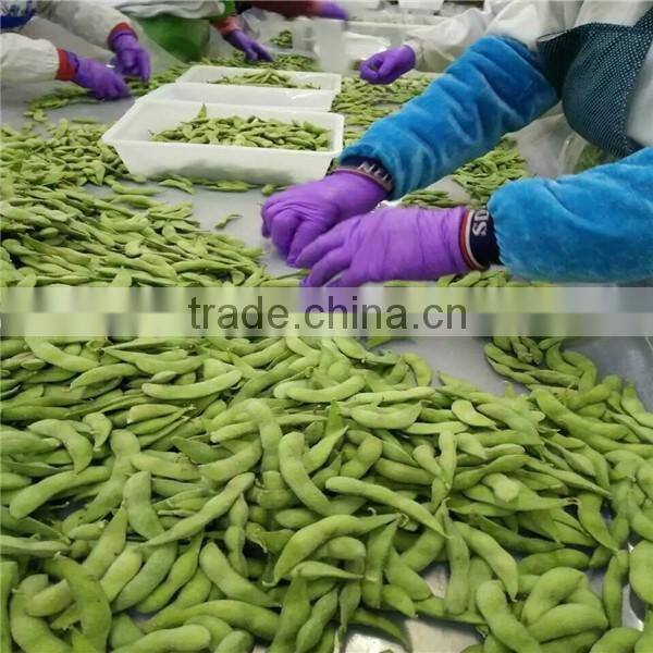 IQF Frozen Edamame
