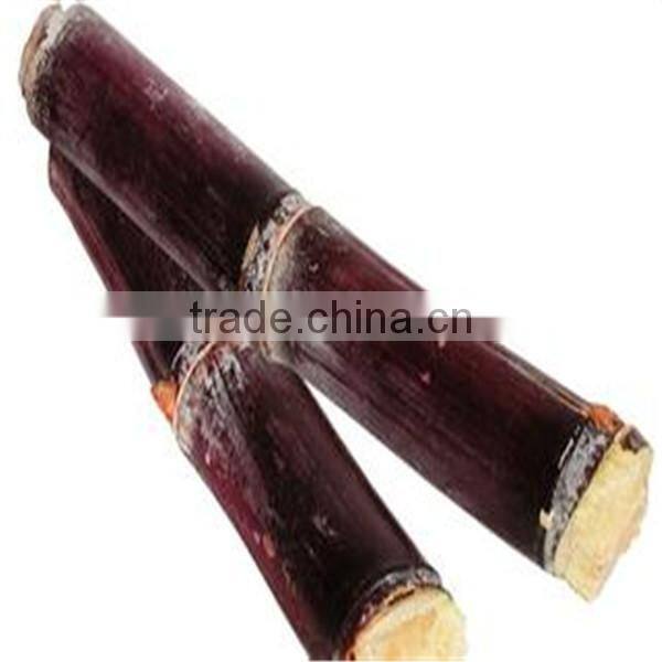 low price and large stock sugar cane juicer machine price