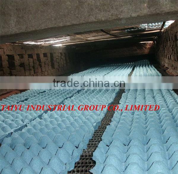 TAIYU Layer Poultry Equipments Guangzhou for Chicken Farm