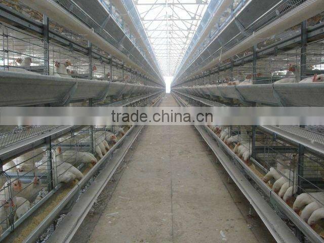 Poultry Cages
