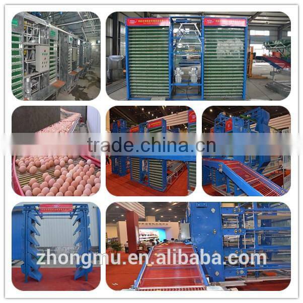 Zhongzhou automatic poultry battery chicken cage for Africa