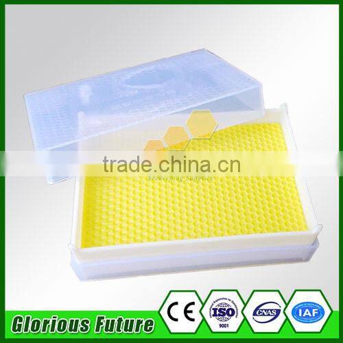 best factory price plastic foundation with high quality for beekeeping