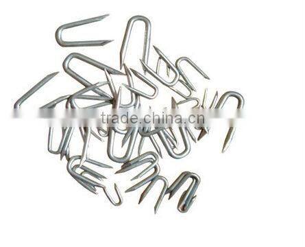 fence staple with U nails