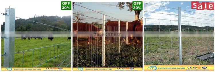 powder coated wire mesh fencegalvanized hog wire fencingcattle livestock fence