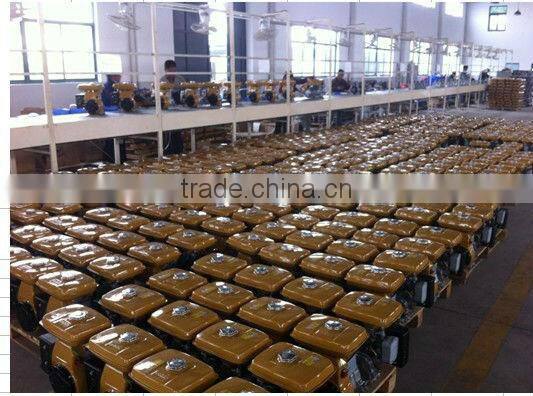 Kerosene engine Robin type,robine engine