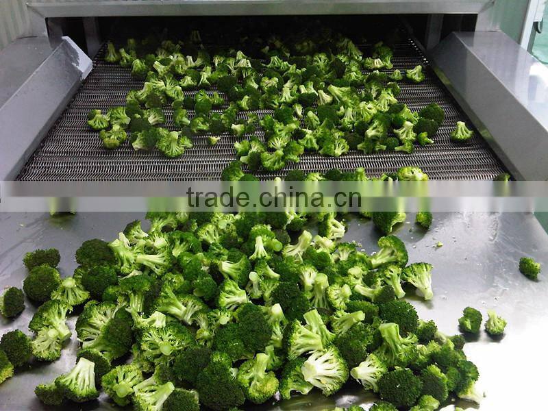 Best sale Tunnel Freezer