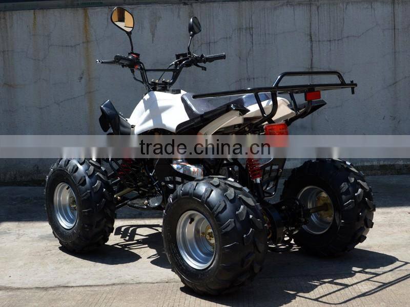 Mini Kids Gas Powered ATV 50cc