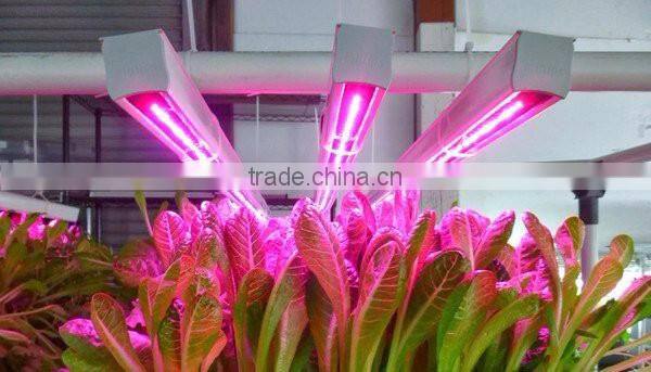 VANQ hydroponic/aquaponics growing systems waterproof led grow light