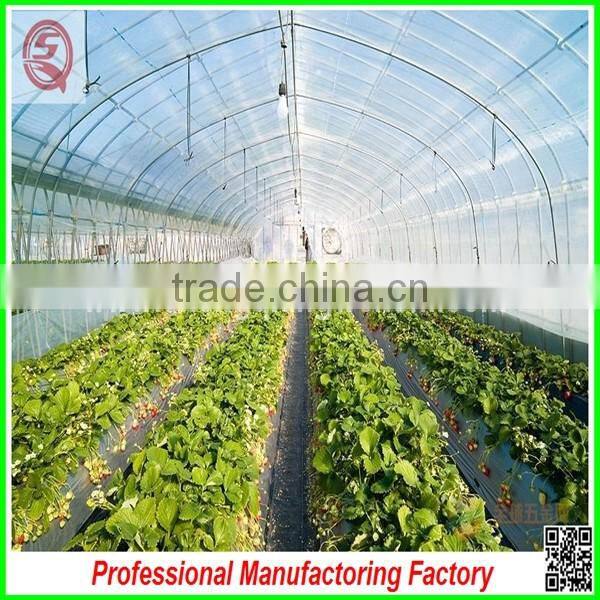 Hot sale single-span/multi-span plastic film greenhouse for agriculture