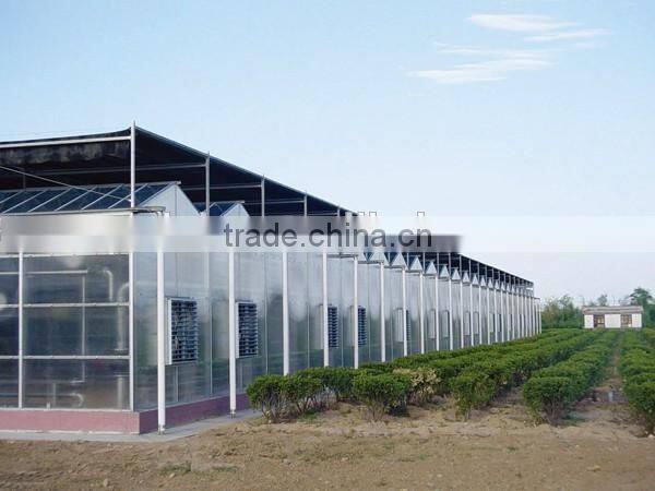 Galvanized steel structure pc sheet cover used commercial greenhouses