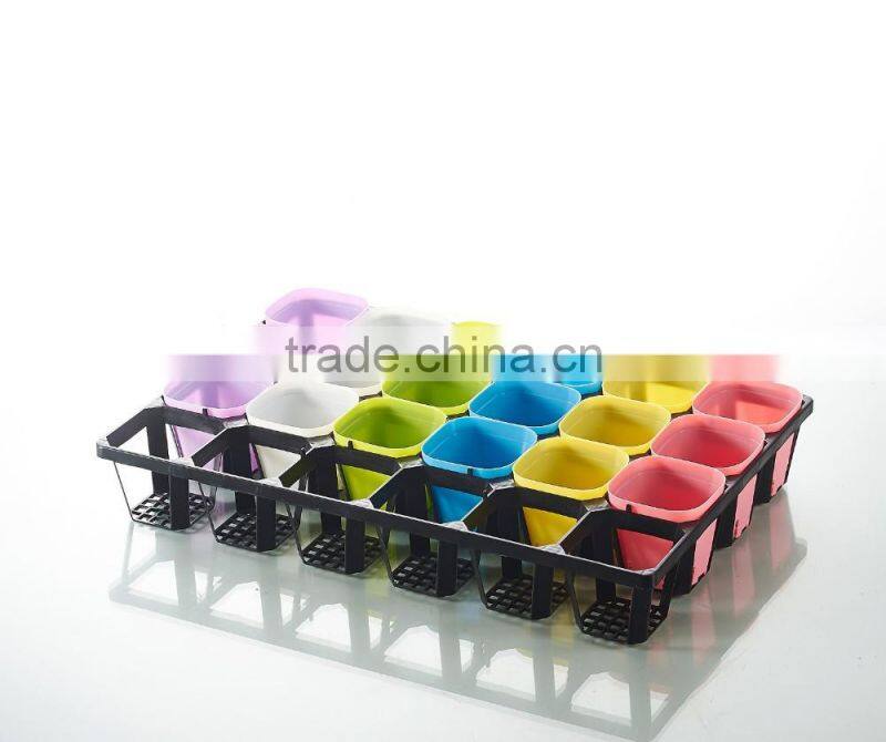 Plastic 24 Divided Plastic Material Hydroponic seedling trays