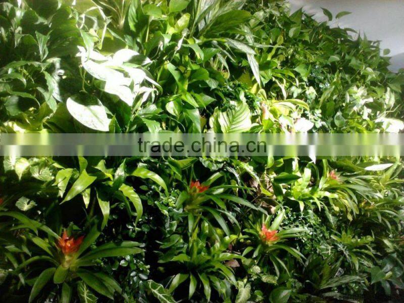 2015 best price artificial plant wall/artificial grass wall, artificial vertical plant for garden