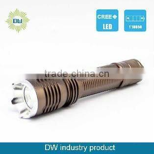 led flashlight vagina