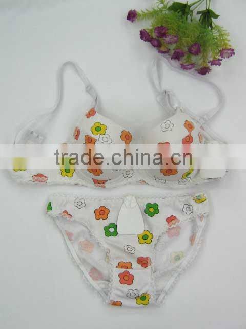 Elegant charming bras and panty sets with deep blace color XXXsexy