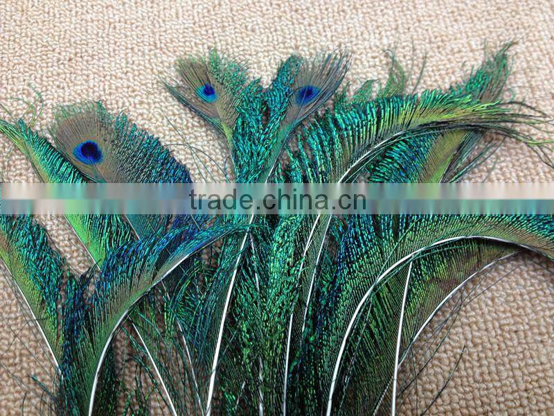 12-13"/30-35cm length Peacock Sword Feather Natural Green For Hats/Costume/Crafts
