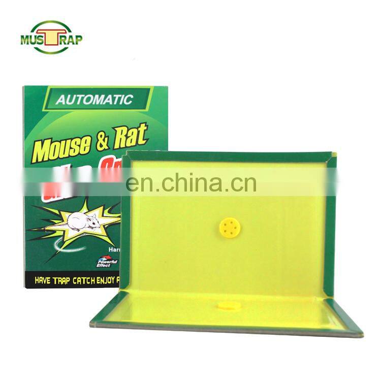 MSDS Certification pest control glue mouse machine rodent capture glue for rat traps