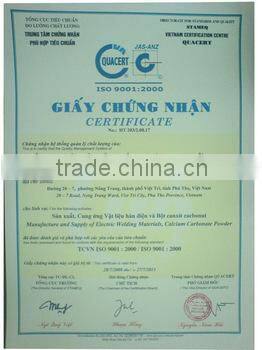 Calcium Carbonate Powder filler masterbatch available,80% CaCO3 from Vietnam for woven bag