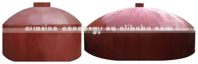 Biogas equipment's small biogas plant