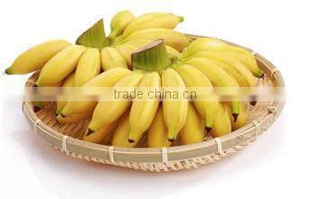 supply Automatic fully automatic plantain chips processing line